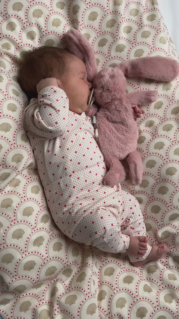 Houston heavy teddy mini - Rose